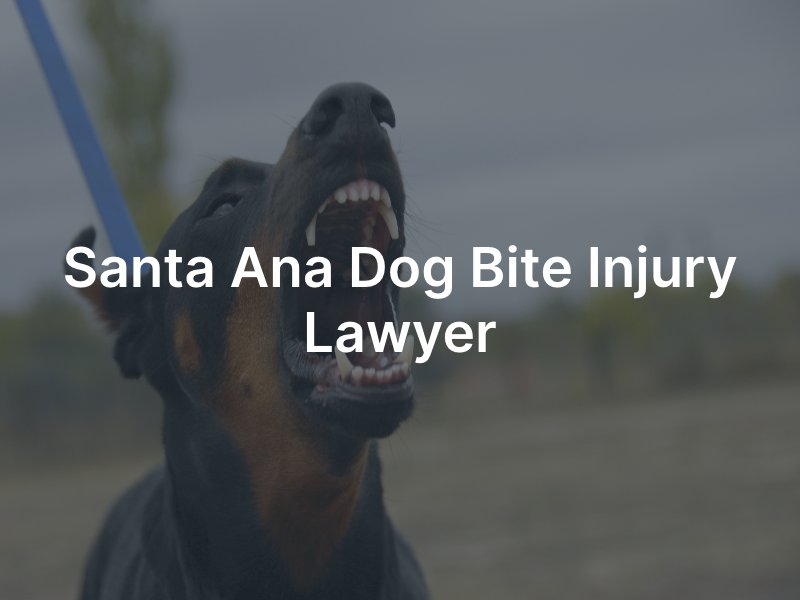 Santa Ana dog bit injury lawyer 