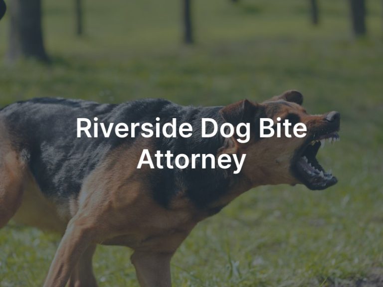 Riverside Dog Bite Attorney