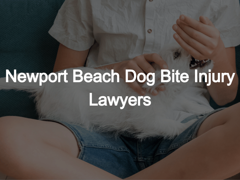Newport Beach: Abogados especializados en lesiones por mordeduras de perro