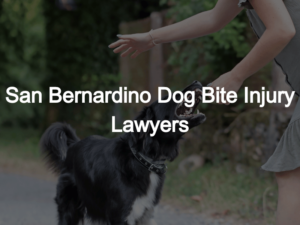 San Bernardino Dog Bite Injury Lawyers