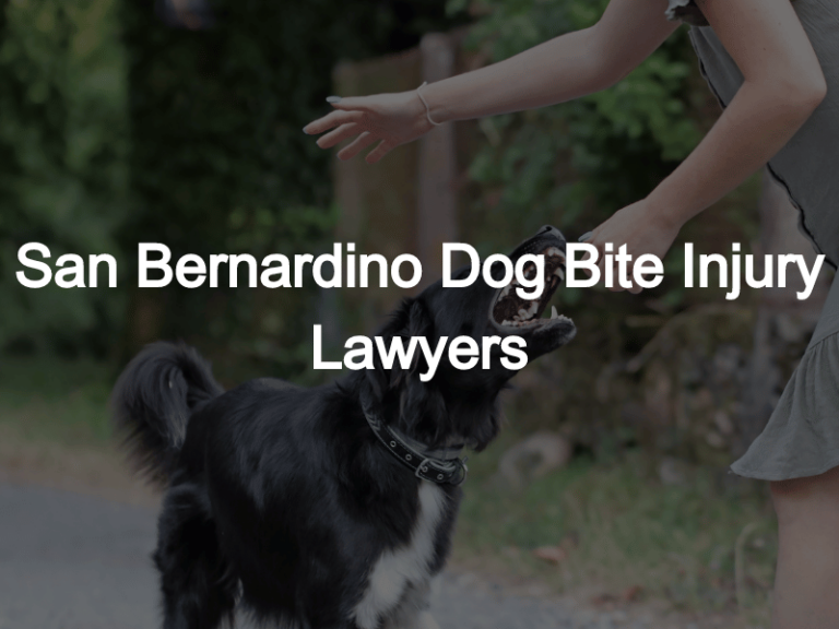 San Bernardino Dog Bite Injury Lawyers | Bentley & More LLP