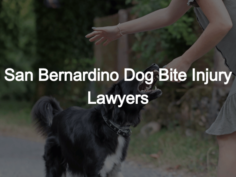 San bernardino dog bite attorney