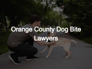 ​Orange County Dog Bite Lawyers