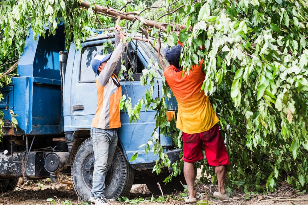 Two men removing fallen tree from crashed blue truck, illustrating accident scene for potential legal action.