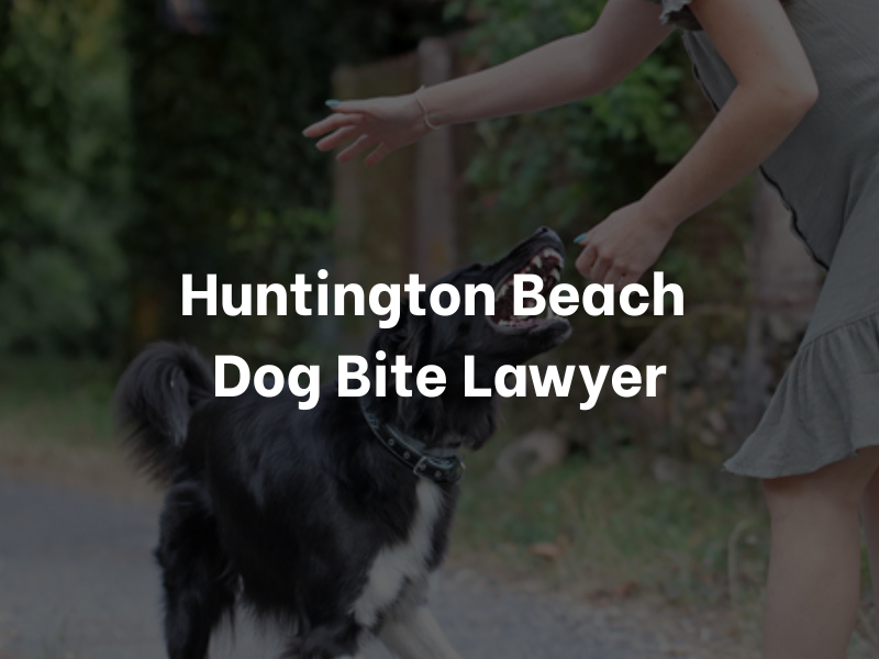 Huntington Beach Dog Bite Lawyer