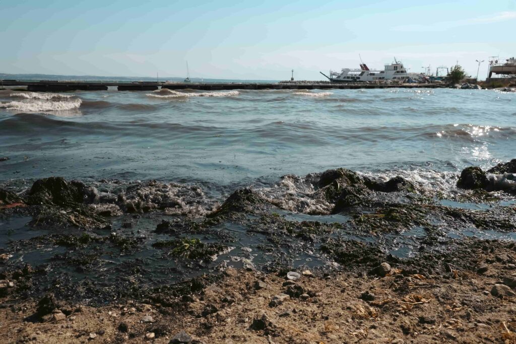 Polluted beach shoreline with oil spill and seaweed contamination near docked boats.