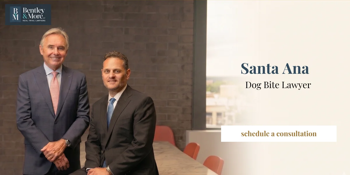Dedicated Santa Ana Dog Bite Lawyer